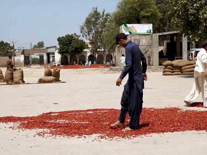 When it comes to climate change, things are only expected to get worse. By 2050, annual average temperatures in Pakistan are projected to increase by 2.5 degrees Celsius, which means deadly heat waves and floods could happen every year, giving farmers more cause for concern.