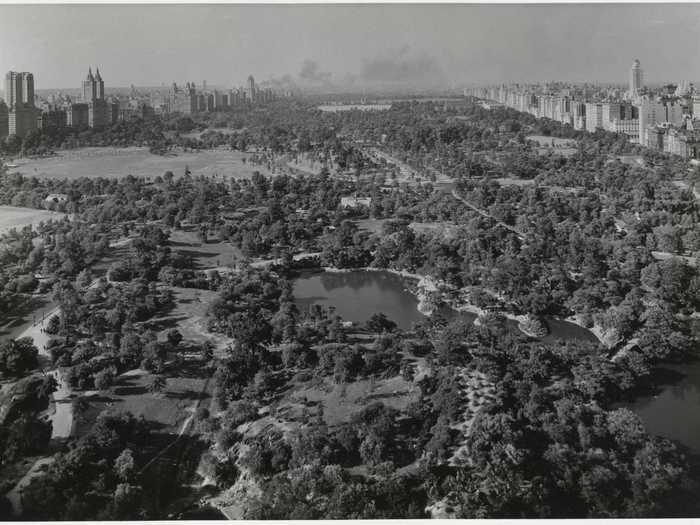 Central Park also provided sustenance. In June 1933, a patrolman asked a man shaking a tree what he was doing. The man responded: "We do this every day. We eat the berries. You know in the Bible people life off fig trees, so we live off these mulberry trees here in the park."