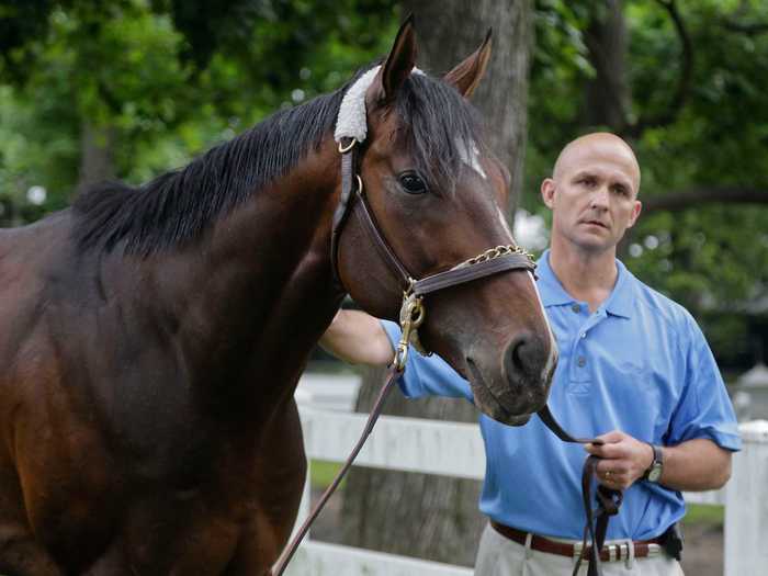 Horse racing businessman Terry Finley