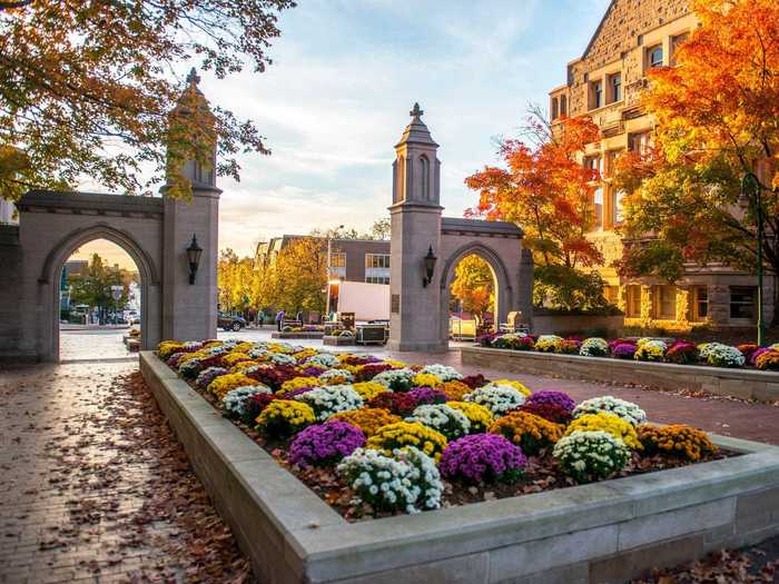 19. Indiana University-Bloomington