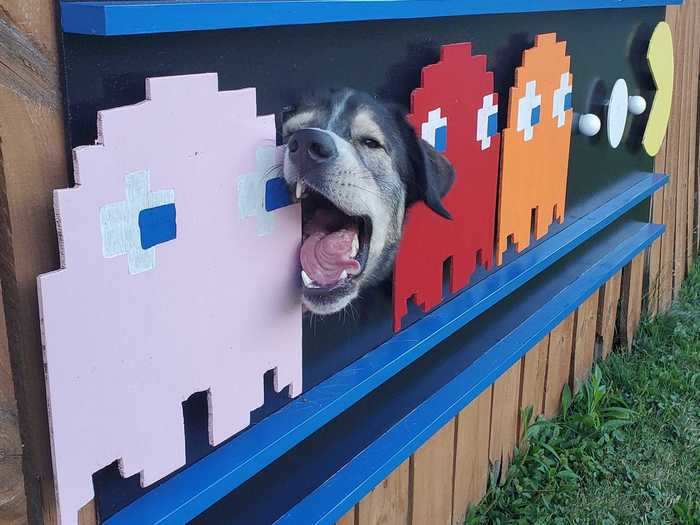 After seeing how much joy the fence brought to the community, Stanley decided to start an Instagram page dedicated to the art project.