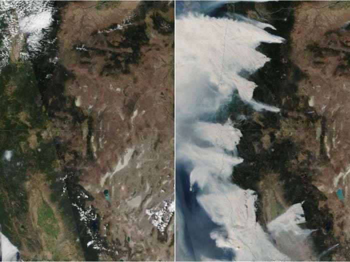 Satellite images from NOAA show massive swaths of smoke emitting from wildfires dotted across California and Oregon. This composite image shows how the states looked on August 8 compared to September 8.