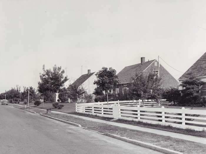 The picturesque community was lined with greenery. In fact, a tree was planted every 28 feet in Levittown.