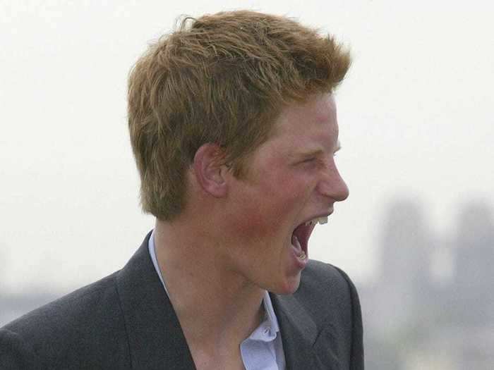 AGE 19: Prince Harry holds an Echidna called Spike in front of Sydney Harbour on September 23, 2003.