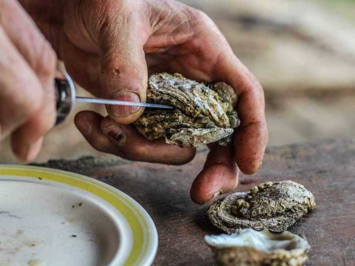 VIRGINIA: Enjoy some fresh seafood at the annual Fall Oyster Crawl held by Virginia