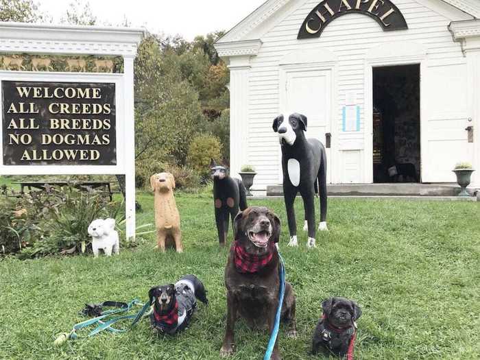 VERMONT: Bring your favorite pup to Dog Mountain in Saint Johnsbury.