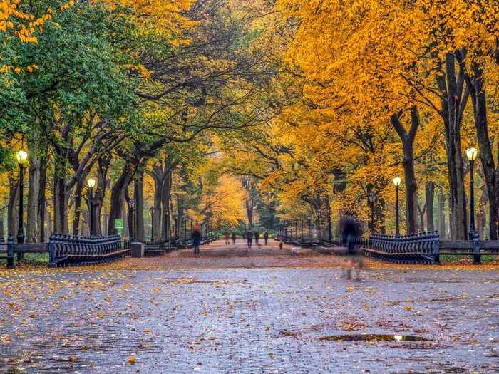 NEW YORK: Watch the leaves turn in Central Park.