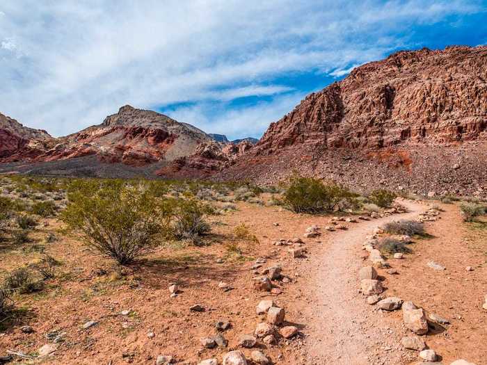 NEVADA: Take a tour of Red Rock Canyon in the Mojave Desert.