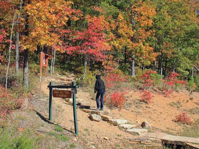 ARKANSAS: Take in the scenery at Mount Magazine State Park.