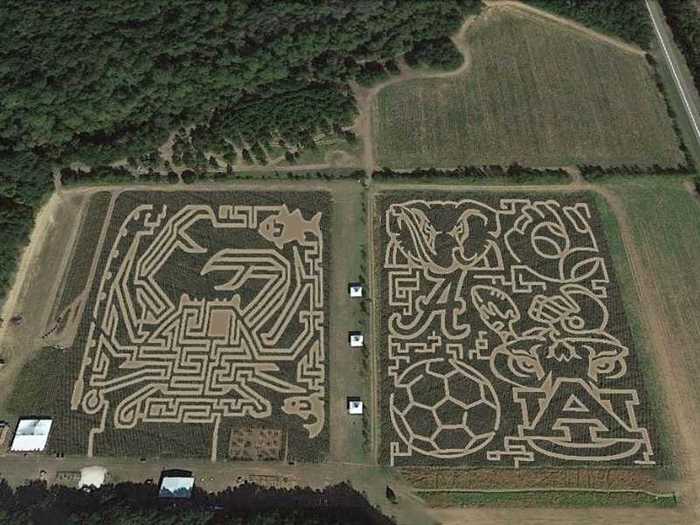 ALABAMA: Find your way out of a haunted corn maze at Magnolia Farms in Summerdale.