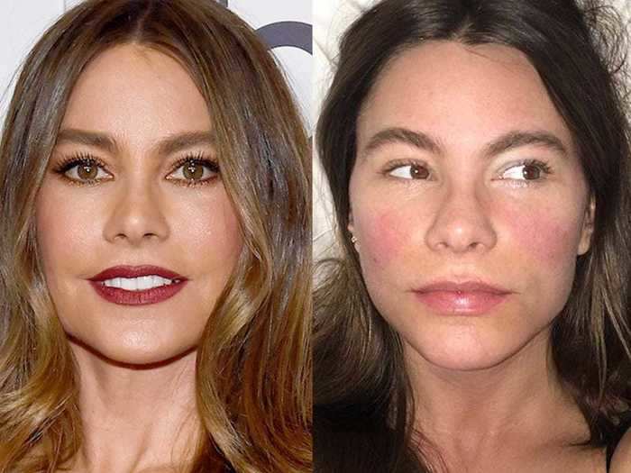Sofia Vergara displayed flushed cheeks and full brows on social media.