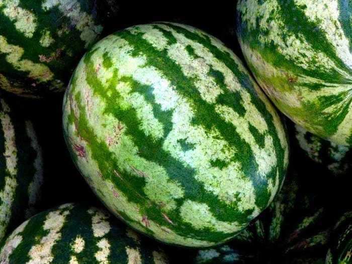 Whole melons can lose flavor in the fridge.