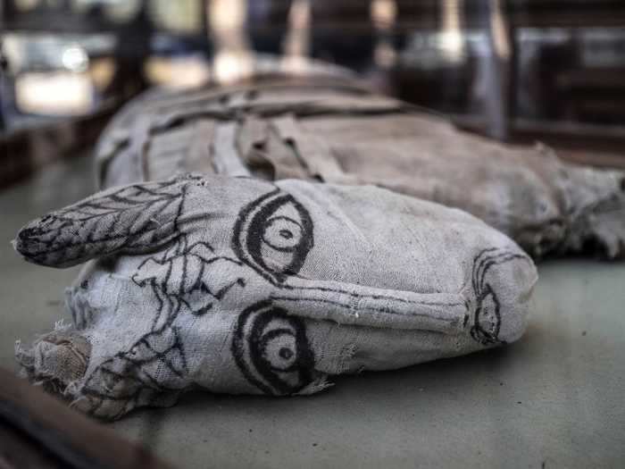 Researchers also unearthed a huge cache of animal mummies there in November 2019.