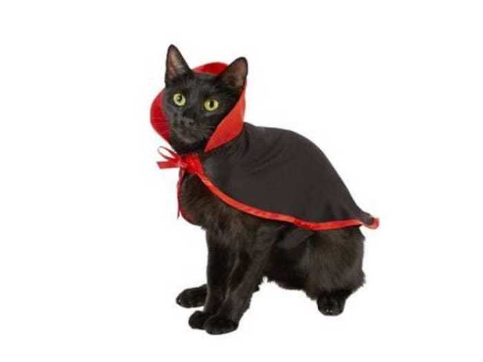 A cat-sized vampire cape for bloodsucking adventures after dark