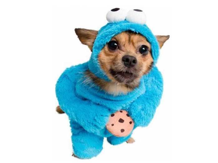 A Cookie Monster costume almost good enough to eat