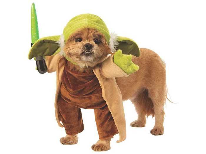 A Yoda costume for budding canine Jedi Masters