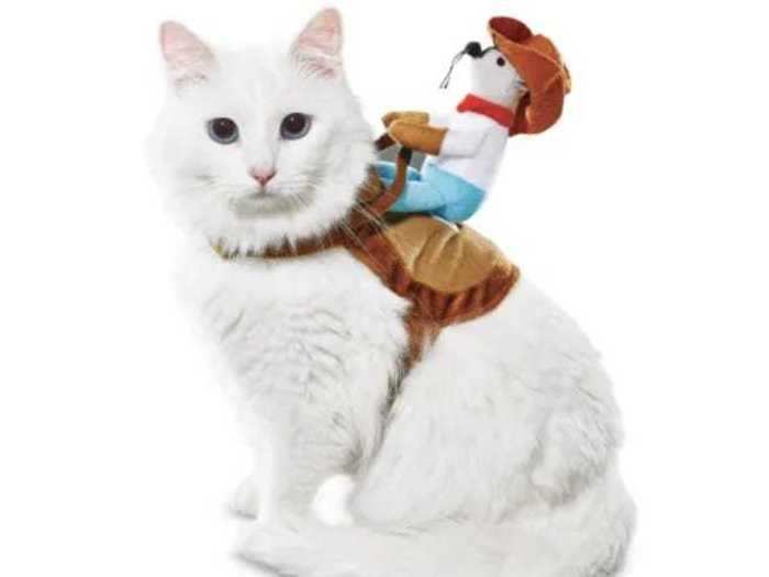 A tiny cowboy mouse to take your cat for a Halloween ride