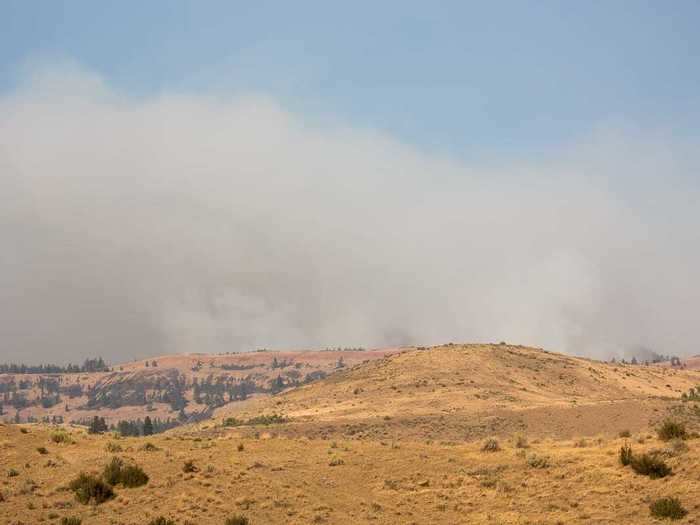 While it might seem counter-intuitive, tankers rarely drop retardant onto the fire itself.