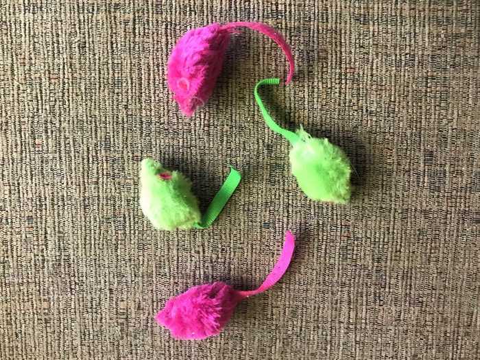 Best catnip mice