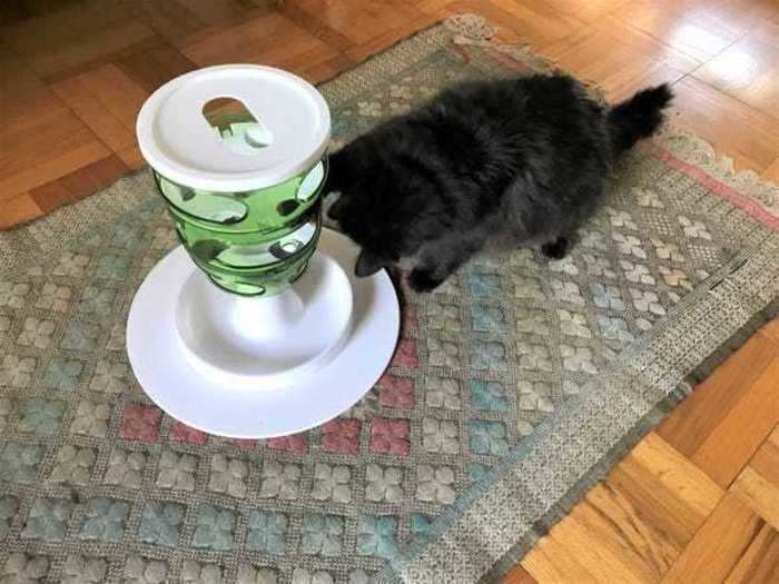 The best overall food-dispensing toy