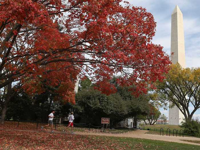 The changing leaves transform Washington, DC