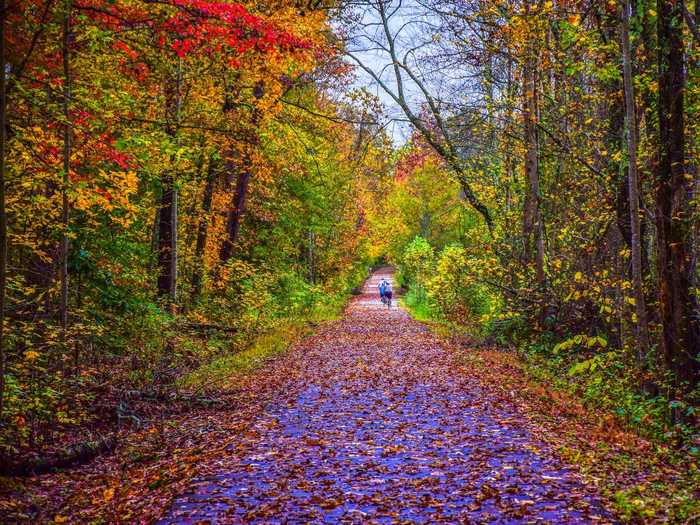 In South Carolina, the leafy trails and bike paths come alive with fall colors.