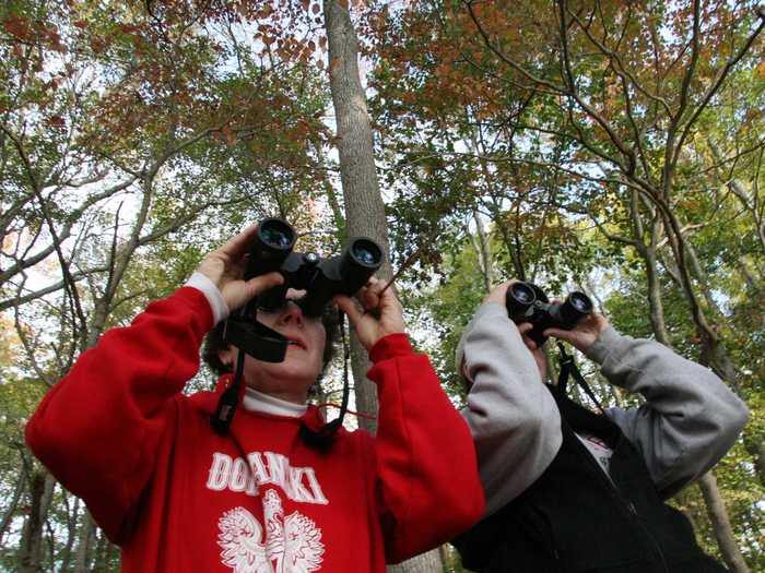 In Maryland, bird-watchers can catch a glimpse of birds migrating south.
