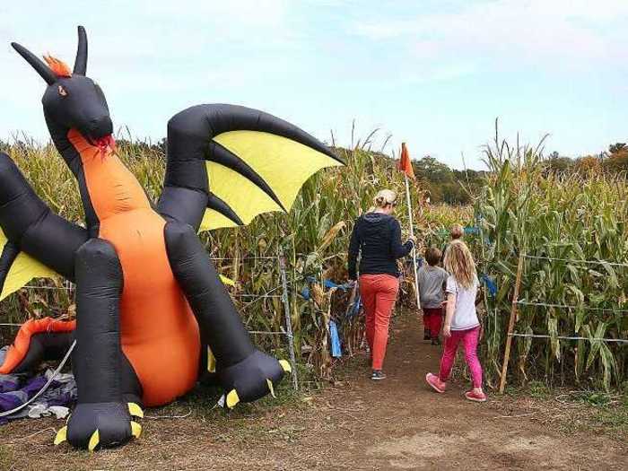 To celebrate the 40th anniversary of Pac-Man, Fifer Orchards in Delaware has a "Pac-Maize," promising a fun-filled day to get you in the fall spirit.