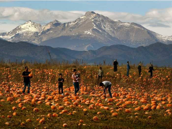 Pumpkin-picking comes with epic views in Colorado.