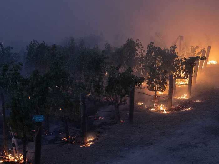 The economic impacts from the disaster are not yet known, but 3.7 million acres of California have burned so far this year. In an average year, less than 350,000 acres of the state burns, per Insider.