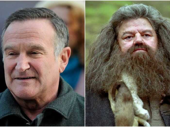 Robin Williams wanted the role of Hagrid.