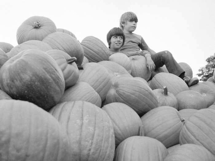 Pumpkin picking was a popular fall activity.