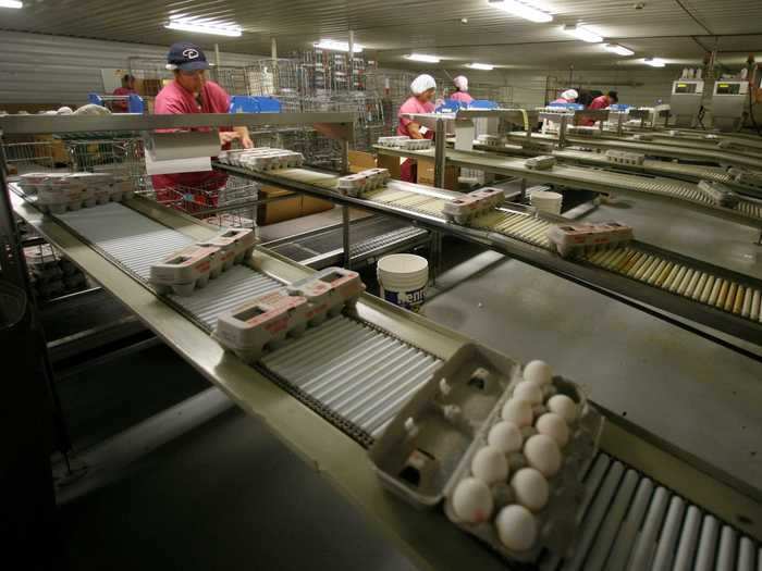 Iowa produces the most eggs out of any state in the US.