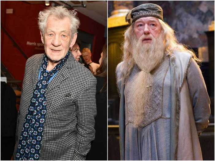 Ian McKellen was offered the role of Albus Dumbledore, but turned it down