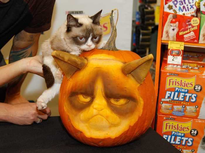 Grumpy Cat poses with her matching pumpkin.