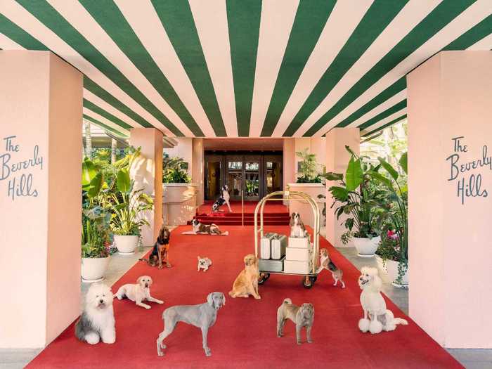 The collection includes 22 different dog breeds and captures the pets living their best lives around the hotel.