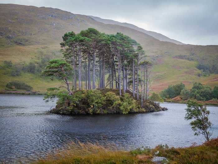 The two-hour train ride takes you past Eilean na Moine on Loch Eilt, also known as Professor Dumbledore