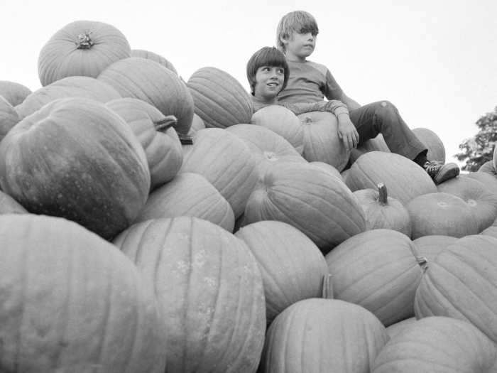 Pumpkins, in general, are a sign of both fall and Halloween, and jack-o