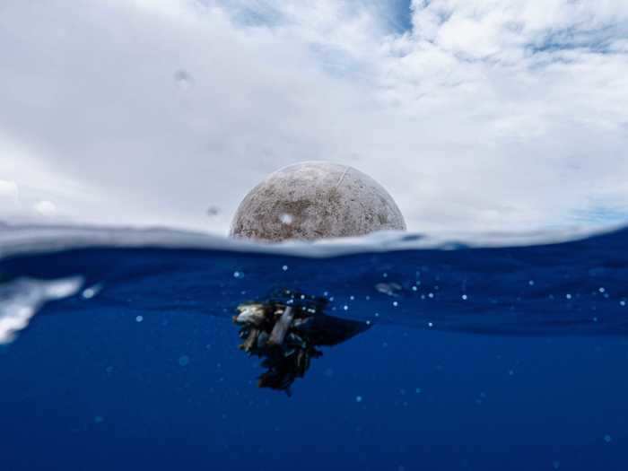 The Ocean Cleanup is a nonprofit taking on plastic pollution on two fronts: plastic already in the ocean, and plastic moving into the ocean through rivers.