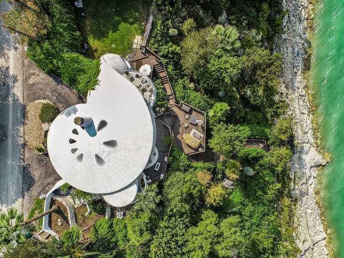 From above, it resembles a sand dollar, or a flat, burrowing sea urchin.