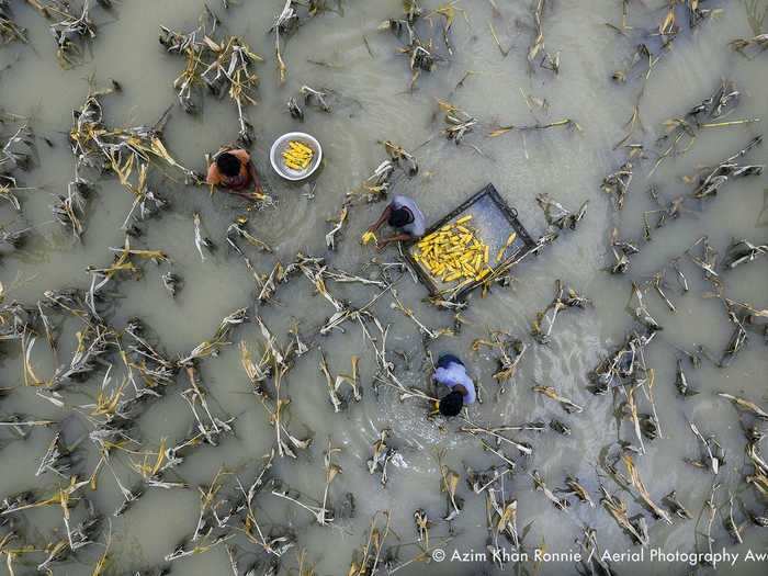 Azim Khan Ronnie managed to find the beauty in a moment of devastation in his winning photo for the Environmental category.