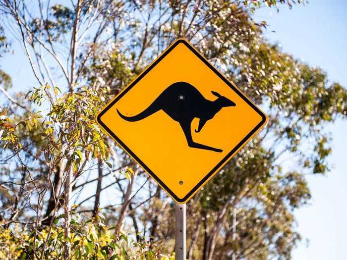 A kangaroo reportedly hopped across a bridge in Grand Chute, Wisconsin.