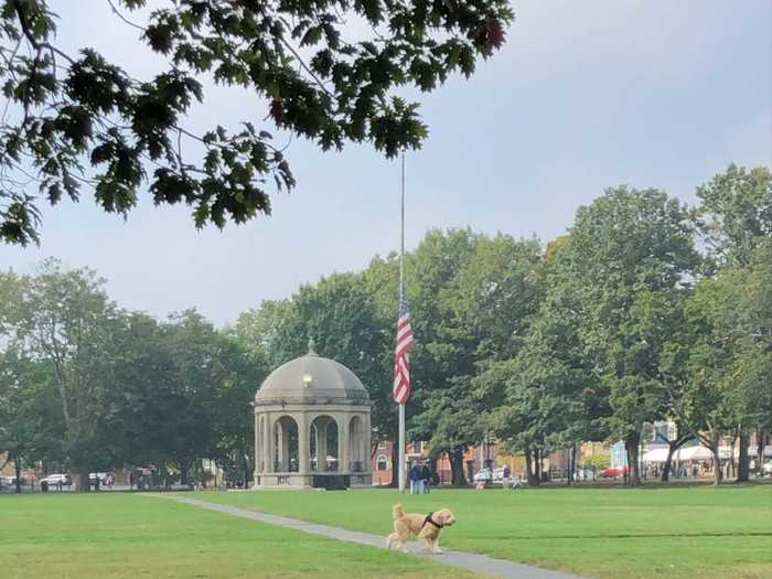 I visited Salem Common a few times on my trip as well.