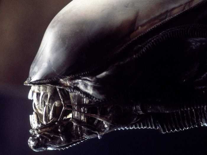 Facehuggers, Chestbursters, Xenomorphs — whatever you want to call them, the aliens from the "Alien" franchise are not for the faint of heart.