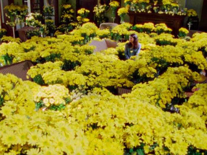 Max proposes to Lorelai with way more than 1,000 yellow daisies.