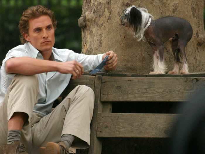 McConaughey helped rescue 50 dogs, 18 cats, and two hamsters in one day following Hurricane Katrina.