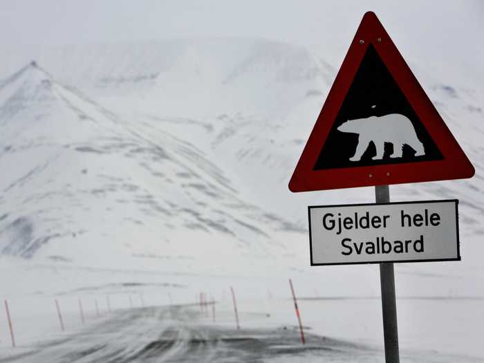 Oreo picked the same location in Svalbard, Norway.