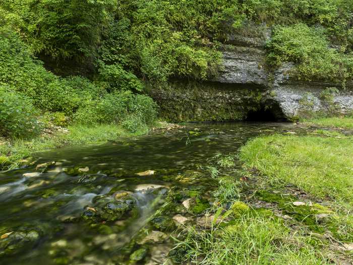 MINNESOTA: Forestville/Mystery Cave State Park