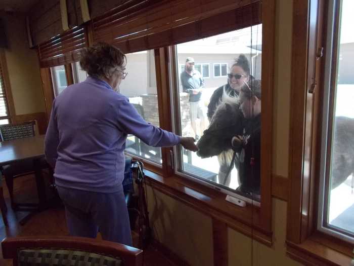 An 11-year-old girl and her pony cheered up nursing home residents by visiting them at their windows in May.