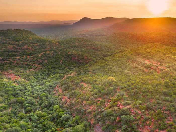 "This building is a careful and direct response to this particular portion of this particular riverine forest of this particular portion of the Waterberg of this particular portion of the Bushveld," the studio wrote. "This architecture could exist nowhere else in the world."